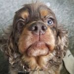Doris Metz West - @dkwest50 - Instagram
