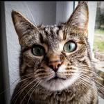 Doris Metzen - @metzendoris - Instagram