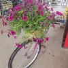 Doris Meyers - @doris.meyers5 - TikTok