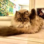Doris Michel - @dorismichel62 - Instagram