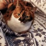 Doris Michel - @dorismichel9508 - Instagram