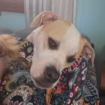 Doris Michel - @charmedtigger2 - Instagram