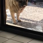 Doris Michel - @doris.michel.98837 - Instagram