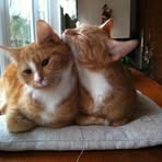 Doris Michels - Facebook
