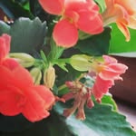 doris michels - @doris_mi - Instagram