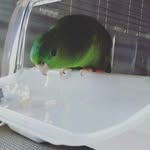 doris - @la_plus_mignone_des_toui - Instagram