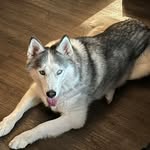 Doris Mignone - @dorisdorismyahoocom - Instagram
