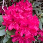 Doris Millett - @doris.millett - Instagram