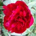 Doris Milton - Facebook