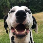 Irma - @milton_o_doris - Instagram