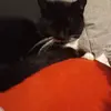 Doris Mißner - @doris.miner - TikTok