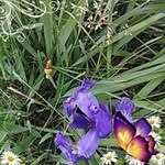 Doris Minnick - @dorisminnick - Instagram