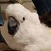 Doris Moen - Facebook
