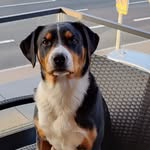 Doris Mohr-Kremer - @doris190362 - Instagram
