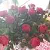 dorismohr91 - @dorismohr91 - TikTok