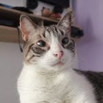 Doris Molano - @doris.molano.505 - Instagram