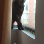 Doris Molano - @doris.molano.a - Instagram