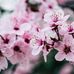 Doris Mollenhauer Stier - Facebook