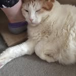 Doris Monaghan - @doriskmonaghan - Instagram