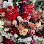 Doris Monday - @doris.monday.3158 - Instagram