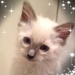 Doris Monroe - @topsy.bristol - Instagram