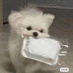 Doris Moon - @baebaebloom - Instagram