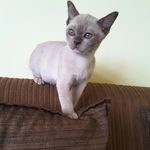 Doris Moon - @doristurtlemoon - Instagram