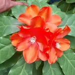 Doris Moreta - @moreta3172 - Instagram