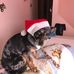 Doris Morin - Facebook