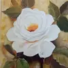 dorishelenamoritz - @dorishelenamoritz - TikTok