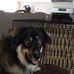 Doris Mortimer - Facebook