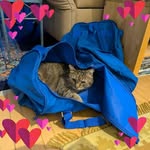 Doris Moser - @doris_moser - Instagram