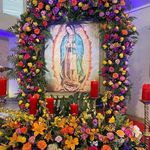 Doris Motta Alvarez - @dorismotta - Instagram