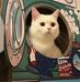Doris Nguyen - Facebook