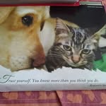 Doris Nieves - @doris.nieves.10 - Instagram