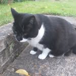Doris Nye - @doristhe_cat987 - Instagram