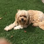 Doris Oakes - @doris.oakes.33 - Instagram