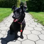 Doris Oberhauser - @oberhauserdoris - Instagram