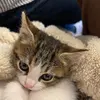 Doris Ochoa - @doris.ochoa53 - TikTok