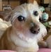 Doris O'Dell - Facebook