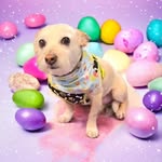 Doris O'Dell - @dorisodell1946 - Instagram