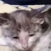 Doris ODell - @doris.odell - TikTok
