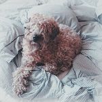 @dorisodell - Instagram