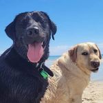 DorisOdelle Anderson - @doris_h_and_odelle_anderson - Instagram