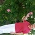 Doris Odom - Facebook