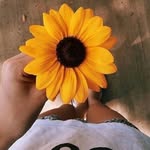 Dóris 🌻 - @doris__oliveira - Instagram