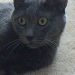 Doris Olson - @doris.olson.9 - Instagram