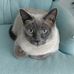 Doris Olson - Facebook