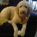 Doris Olson - Facebook