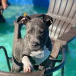 Doris Oneal - @doris.oneal.50 - Instagram